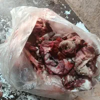 آشغال گوشت برایه سک