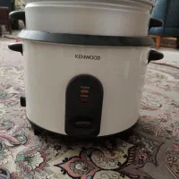 پلوپز بخار پز
