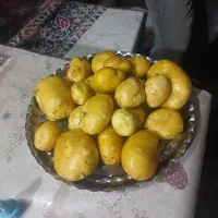 سیب زمینی تناژ بالا