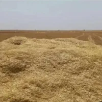 ۳۰انبار کاه گندم