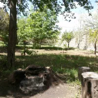 ۲۴۰ متر/ روستای کریک