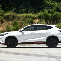 چانگان کف گمرک