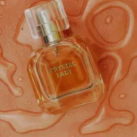 طراحی|خدمات رایانه‌ای و موبایل|مشهد, الهیه|دیوار