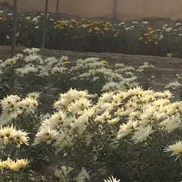 زمین-کشاورزی