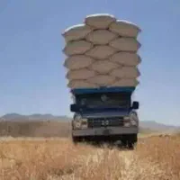 کاه دیم