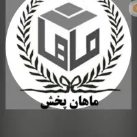 نیروی ویزیتور