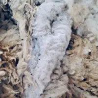 پشم تشک