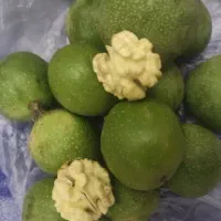 گردو تازه کیلویی ۸۵