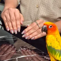 کاشت و ترمیم ناخن ۲۵۵ تومن