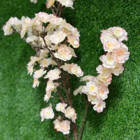 آگهی نیروی کار حسابدار خانم