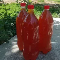 آبغوره عسگری ترش