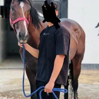 اسب تروبرد