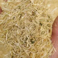 کاه  تحویلی 13.000 آماده همکاری با فروشنده معتبر