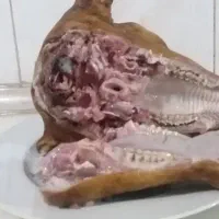 کله پاچه