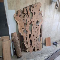 اسلب چوب زیتون
