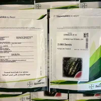 بذر هندوانه بی۳۲ پرو سیمینس