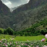 اکیپ طبیعت گردی و دور همی