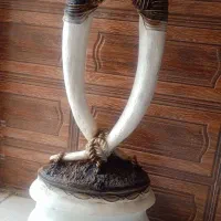 دکور و مدل عکاسی