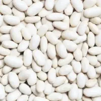 لوبیا سفید درجه یک بوجاری شده