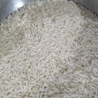 برنج هاشمی درجه یک ( تضمینی)