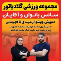 آموزش تخصصی و حرفه ای رزمی( ووشو )عمومی و خصوصی