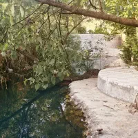 باغ ویلا اجاره ایی
