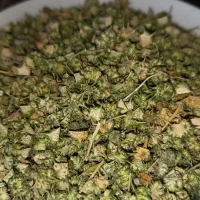 خار خستک