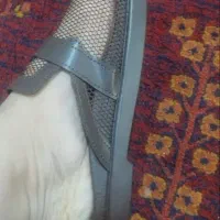 صندل