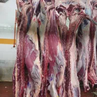 استخدام فروشنده و قصاب برای فروشگاه دام پاک