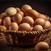 تخم مرغ محلی