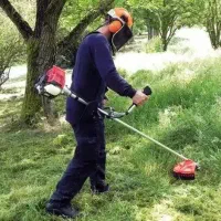 علف زنی باغات با دستگاه علف زن نمونه