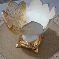 میوه خوری رزین و گچ