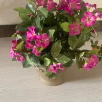 دیجیتال نو|گل مصنوعی|نهاوند, |دیوار