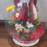 گل حبابی