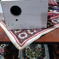 لانه عروس هلندی و طوطی نو نو اصلا استفاده نشده