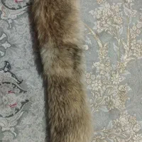 کلاه روسب طبیعی مخصوص تک پوشان و به شرط اصالت