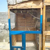 قفسه بزرگ پرنده