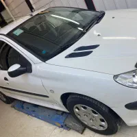 206 SD V8 TU5|خودرو سواری و وانت|اردبیل, |دیوار