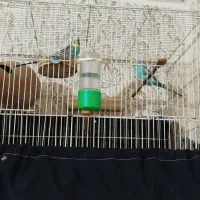 ۱۰۰۰۰۰