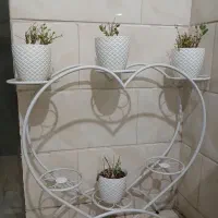 استند جا گلدانی