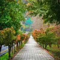 نمک آبرود فروش زمین تاپ لوکیشن