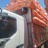 کاه نرم جو