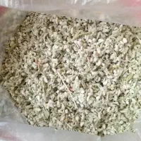 کلپوره|گل و گیاه طبیعی|تربت جام, پاسداران|دیوار