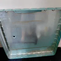 کفی کولو