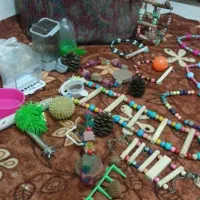 وسایل بازی عروس هلندی