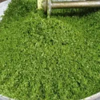 سبزی خورشت تازه