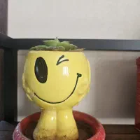ظرف و ظروف