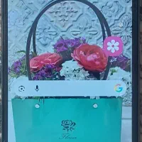 گوشی سامسونگ m33