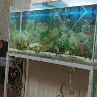 اکواریوم با پایه تمام وسایل و ماهی