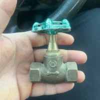 والف شیر برنجی